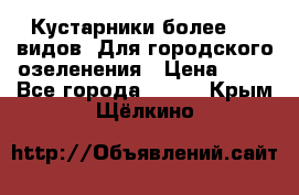 Кустарники более 100 видов. Для городского озеленения › Цена ­ 70 - Все города  »    . Крым,Щёлкино